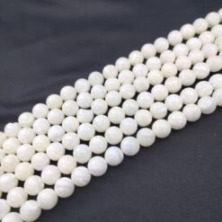 Horseshoe Snail Shell Bead Necklace Bracelet Loose Bead DIY Handmade - White, 12mm