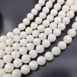 Horseshoe Snail Shell Bead Necklace Bracelet Loose Bead DIY Handmade - White, 10mm
